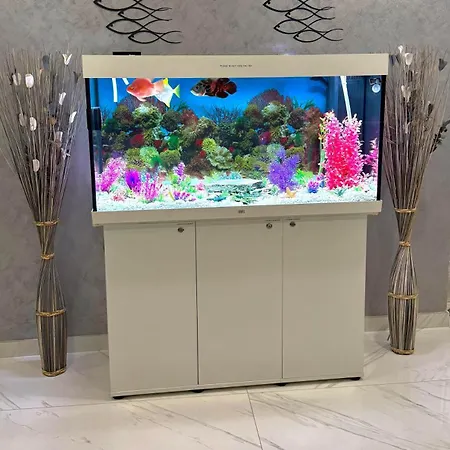 Marsascala Sea View Hpi9934 アパート